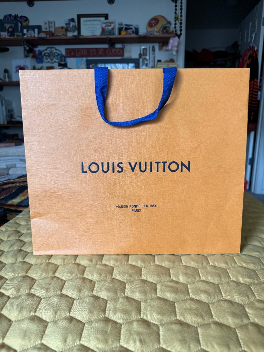 🦉 MEDIUM LOUIS VUITTON GIFT BAG